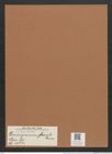 Dimerogramma fossile Grun. (de-Toni-Nr.: Genus 80, Species 2884) Zeichnungen Sammlung Grunow Mappe 03048 (Herbarium_W_Grunow_drawings_Folder_03048)